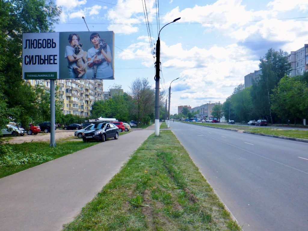 Инициативная группа по защите животных Твери