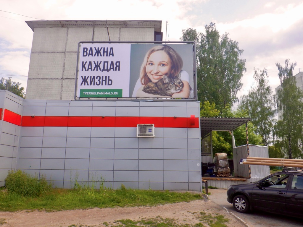Инициативная группа по защите животных Твери