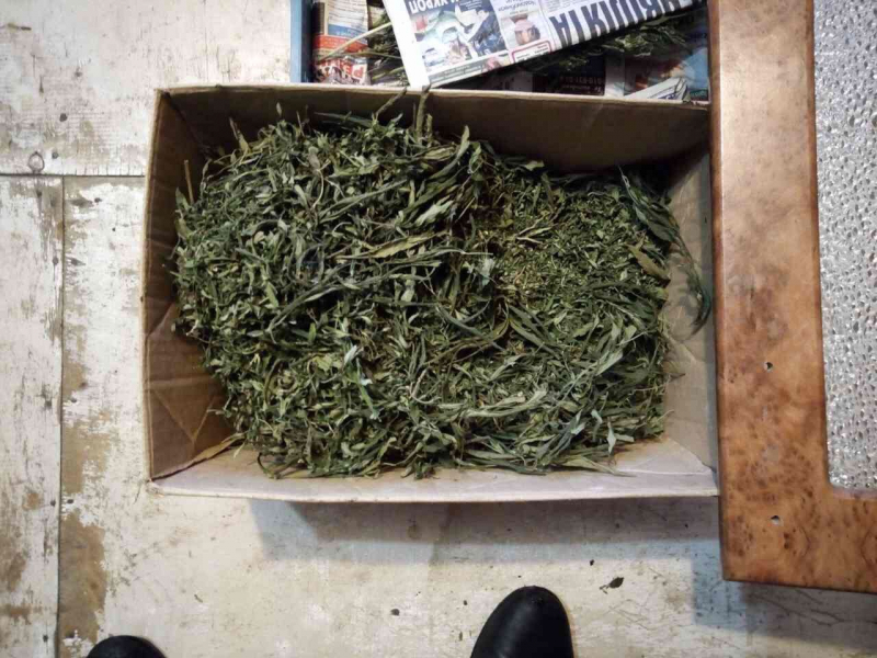 Почти полтора килограмма марихуаны нашли у жителя Тверской области