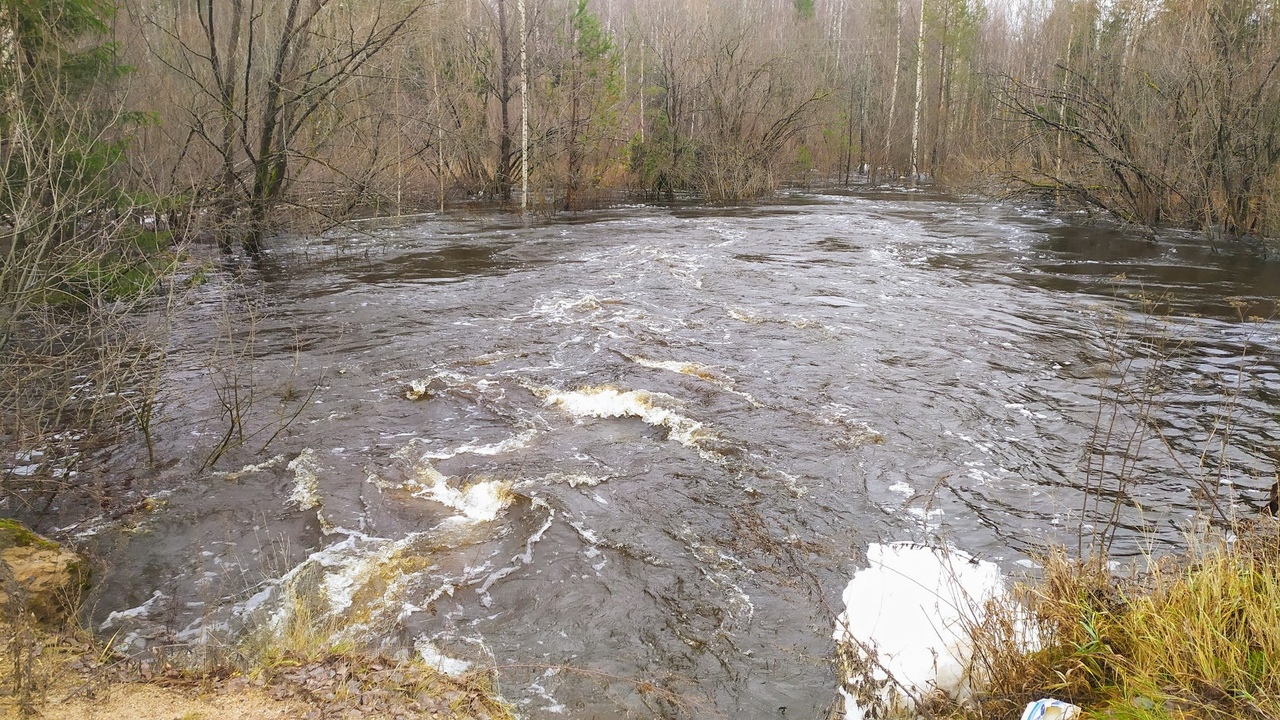 Вода в реке белая поднялась